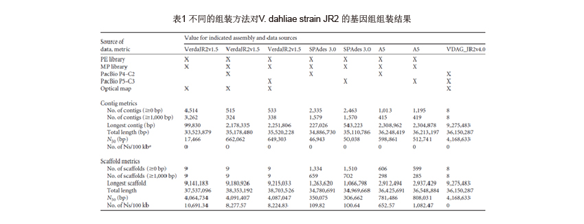 表1 不同的组装方法对V. dahliae strain JR2 的基因组组装结果