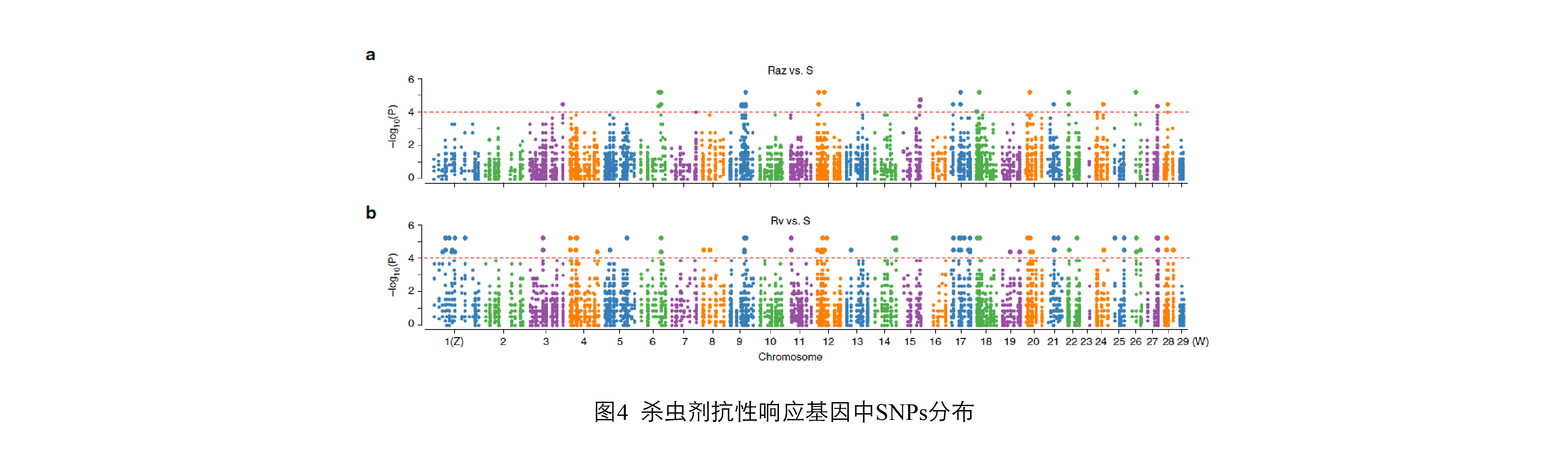 图4. 杀虫剂抗性响应基因中SNPs分布