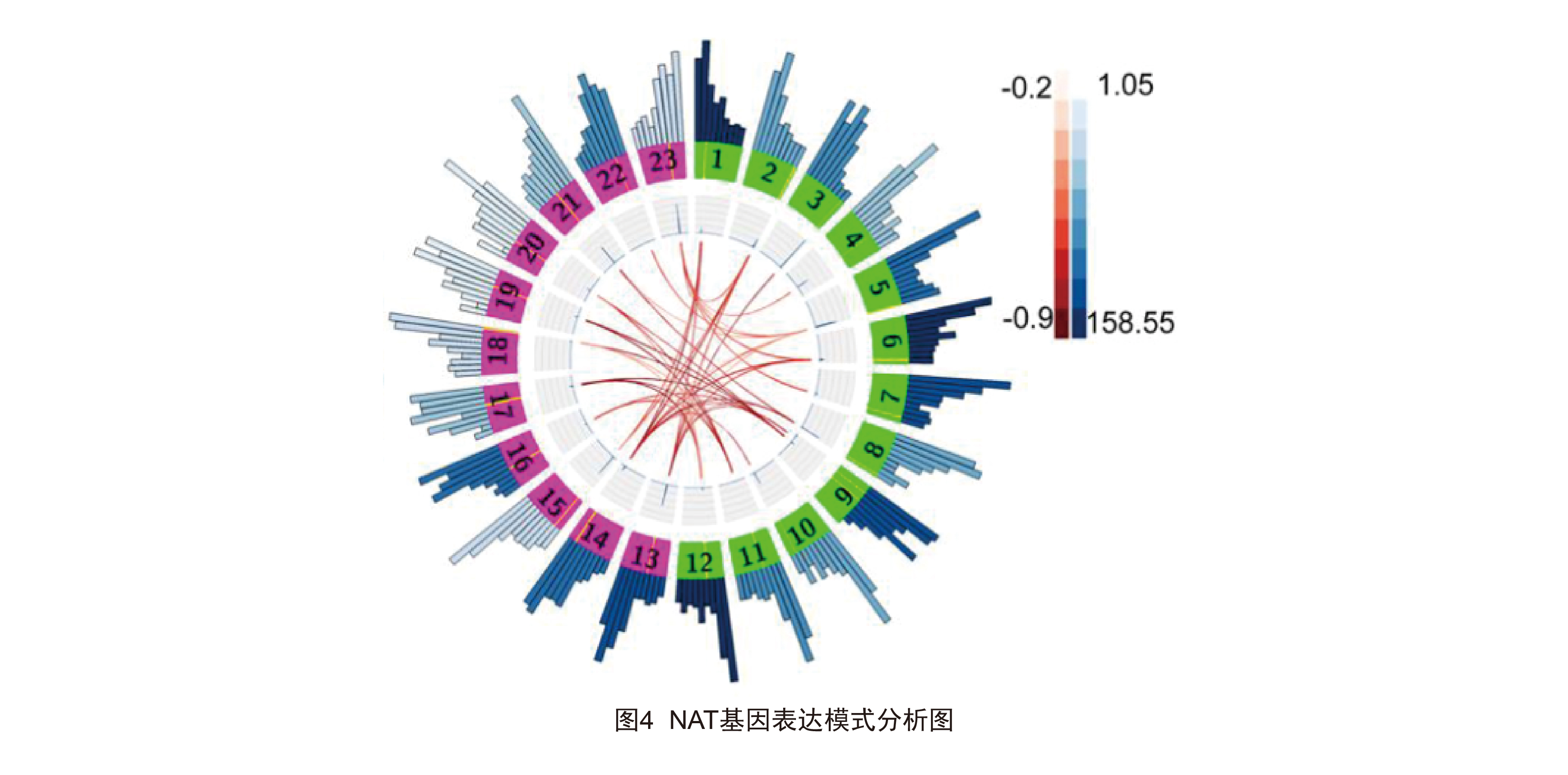 图4 NAT基因表达模式分析图